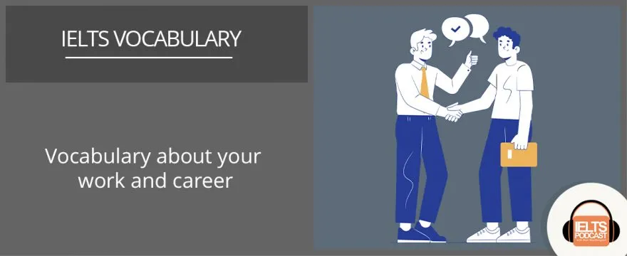 Vocabulary about your career and work