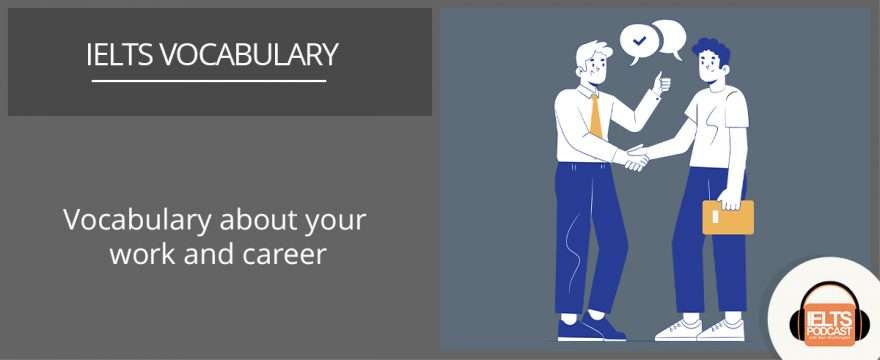 Vocabulary about your career and work